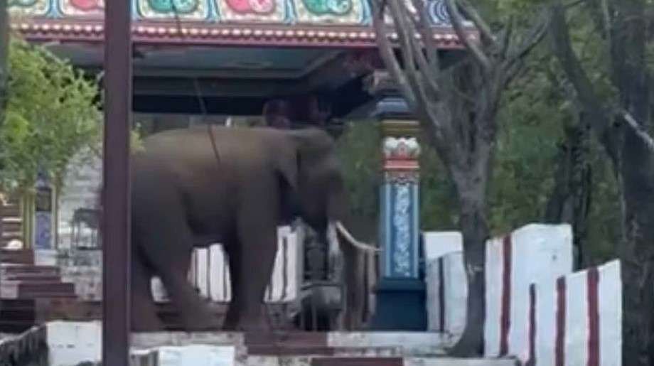Newsthamizha